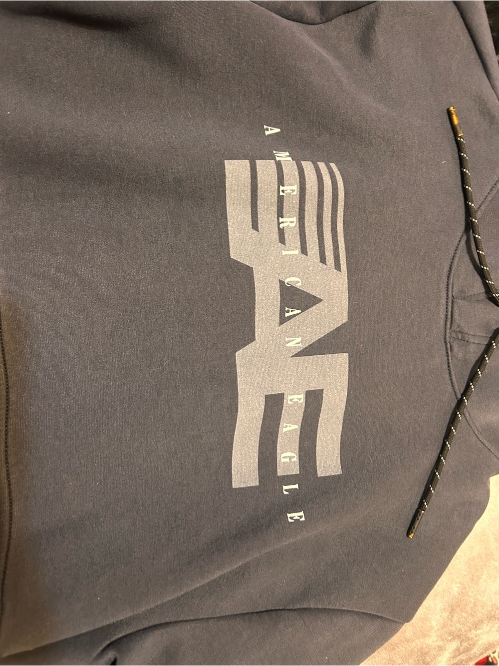 American Eagle Outfitters Navy Graphic Crewneck Hoodie - Picture 2 of 3